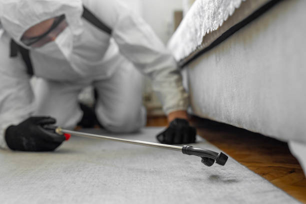 Professional Termite Control technician working in Winters, CA