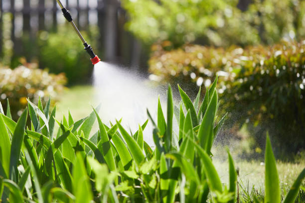 24/7 Emergency Termite Control experts in Winters, CA